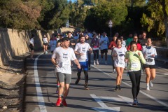 Carrera Castillos