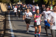 Carrera Castillos