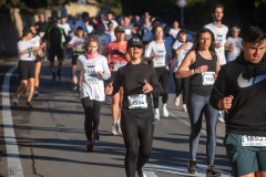Carrera Castillos