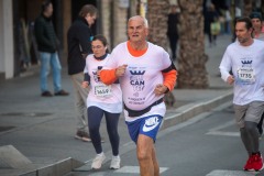 Carrera Castillos