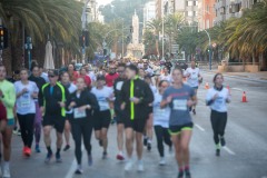 Carrera Castillos
