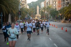 Carrera Castillos