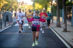 Carrera Castillos